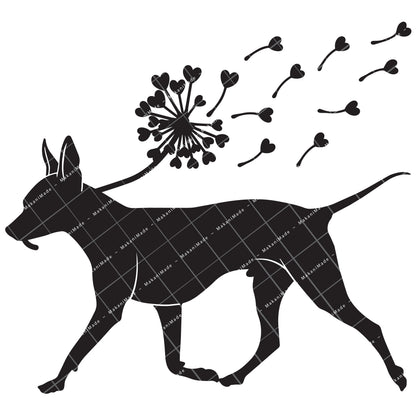 Dandelion Fluff American Hairless Terrier Decal