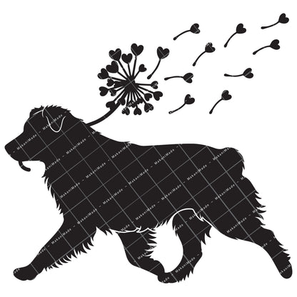 Dandelion Fluff Australian Shepherd Decal