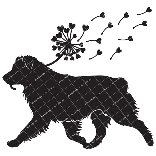 Dandelion Fluff Australian Shepherd Decal