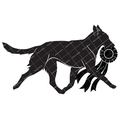 Rosette Winner Belgian Malinois Decal
